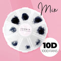 10D Promade Loose - 1000 Fans - LASH V