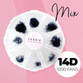 14D PROMADE LOOSE - 1000 FANS - LASH V