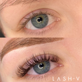 Matte Dark Volume Dark Brown Lashes - 0.05 - LASH V