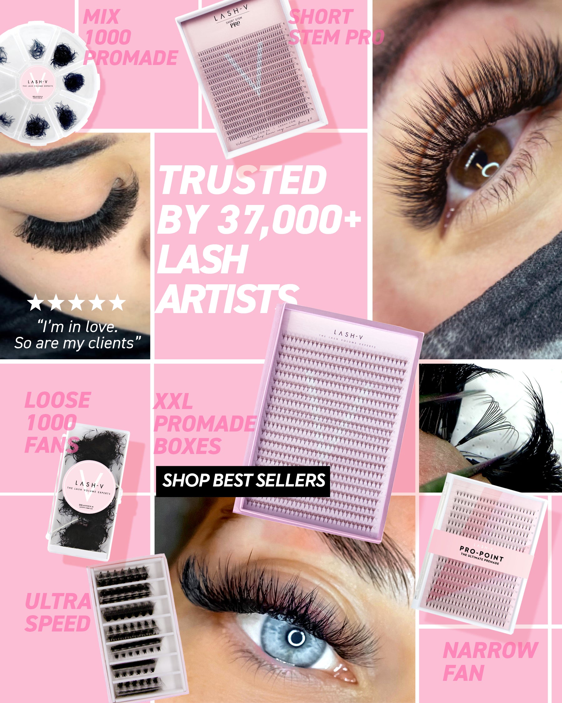 Lash v shop