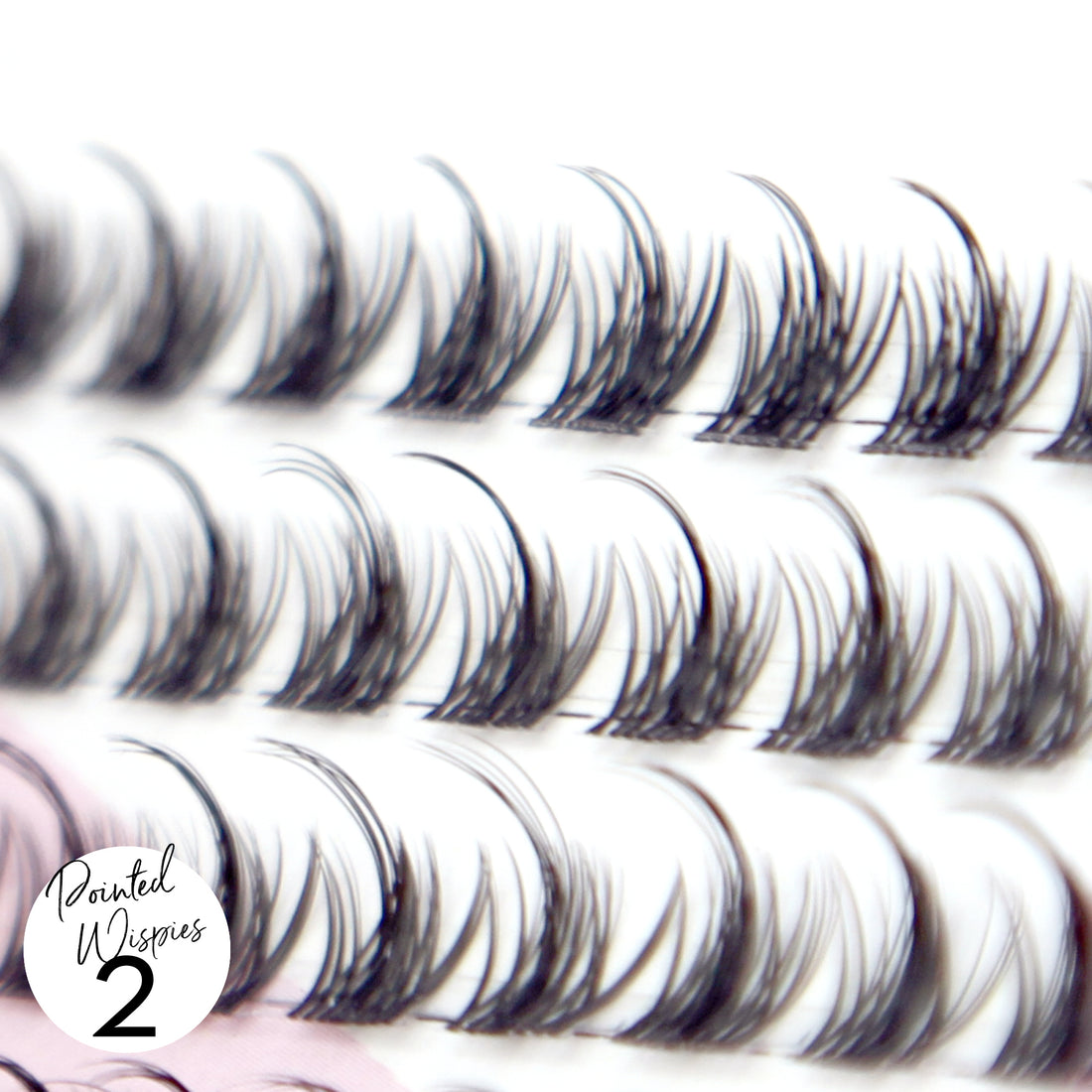 Miss Wispy Cluster Lashes - 77 Clusters Style 2 Pointed Wispies Complete Kit - LASH V